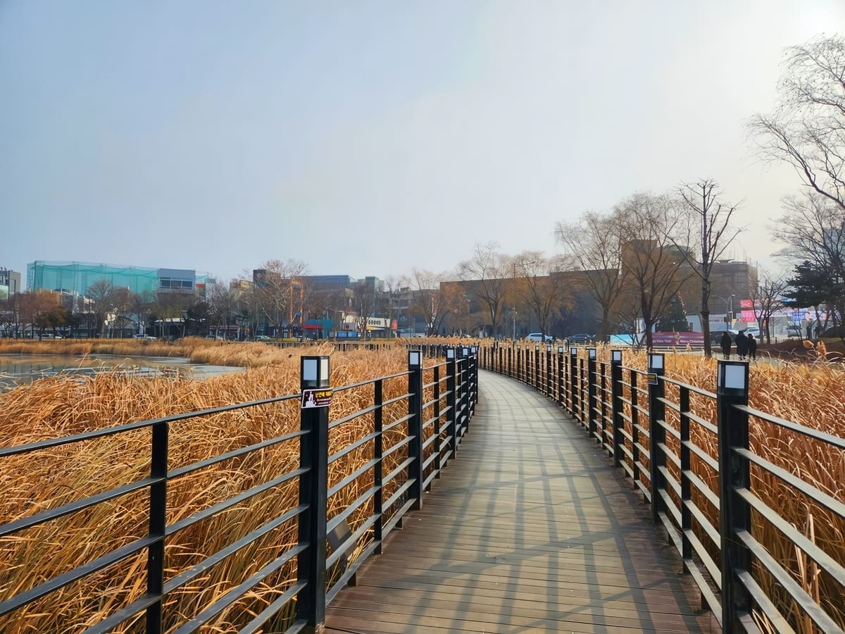 대구 수성못 유원지 여행 정보 안내