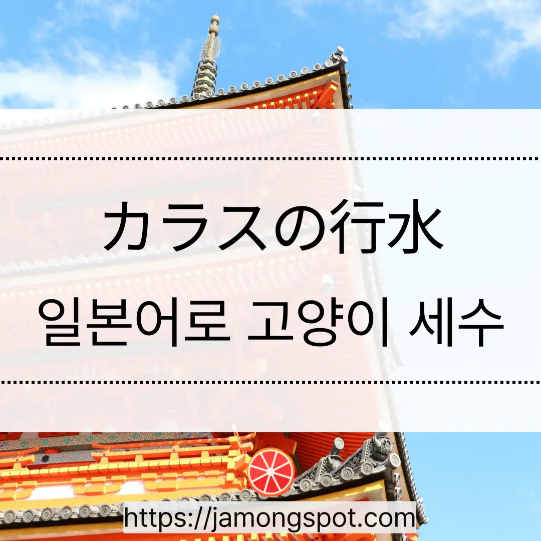 일본어로 고양이 세수는 猫の洗顔이 아닌 이유