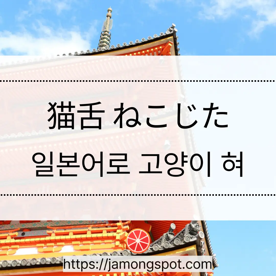 일본어로 고양이 혀 네코지타(猫舌)는 무슨 뜻일까
