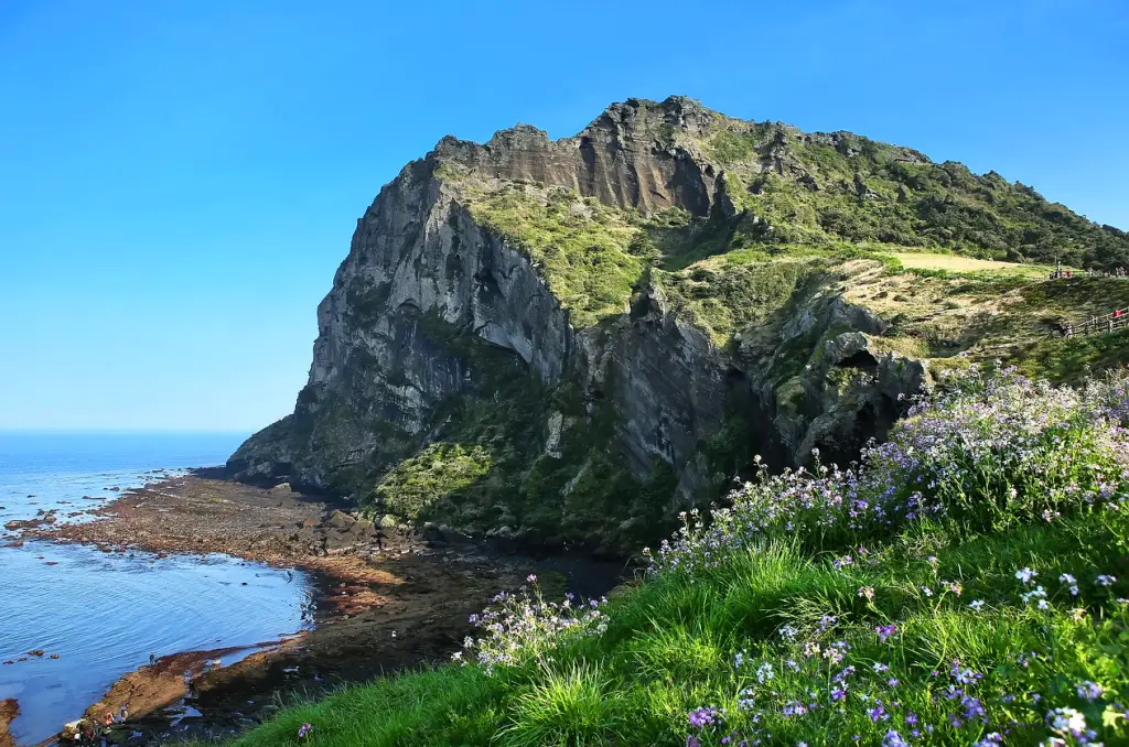 단체 여행 실습 가이드는 무슨 일을 하나