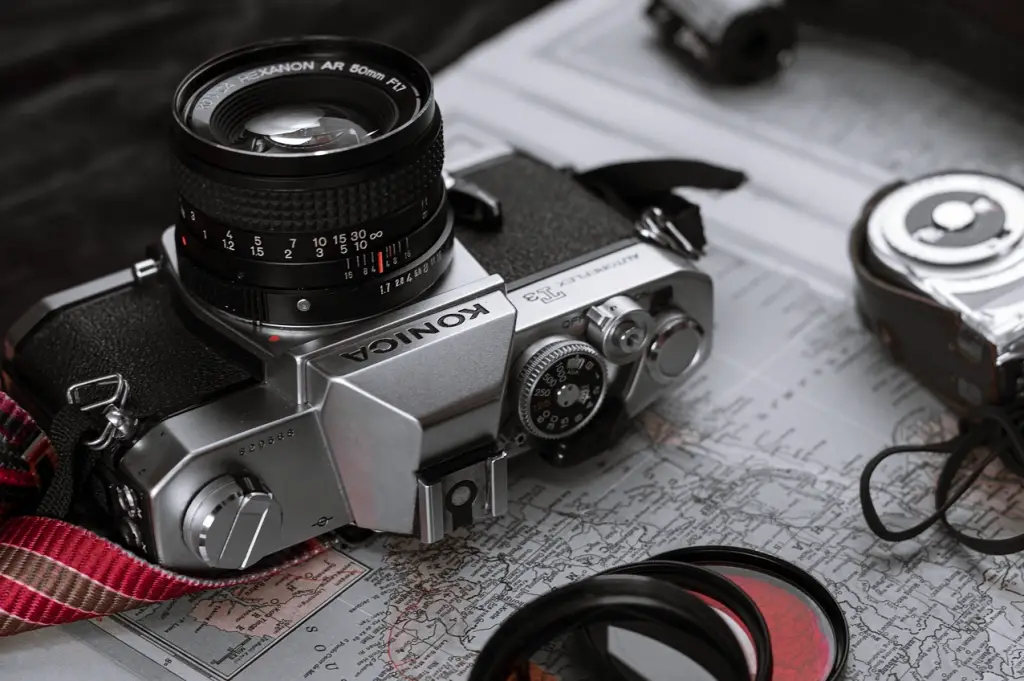 단체 여행에 따라오는 사진기사는 무슨 일을 하나